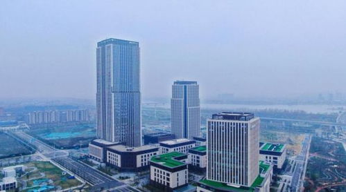 揚州生態科技新城三項目入選省重點清單，以軟件驅動“兩業融合”新篇章